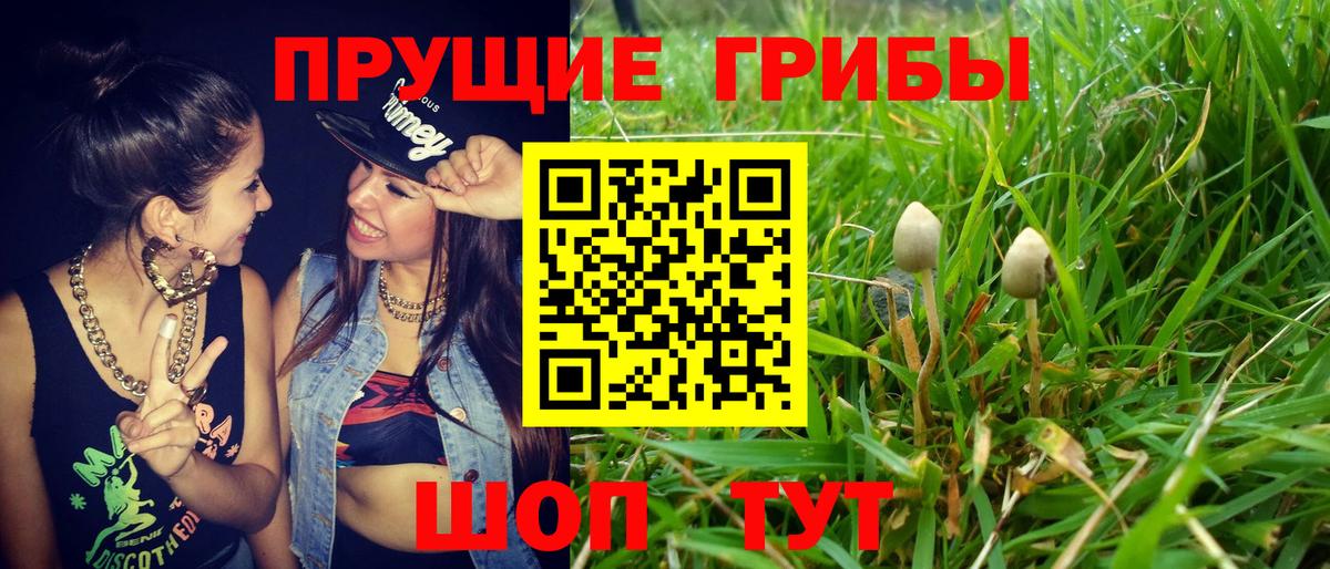 Галлюциногенные грибы мухоморы Вичуга