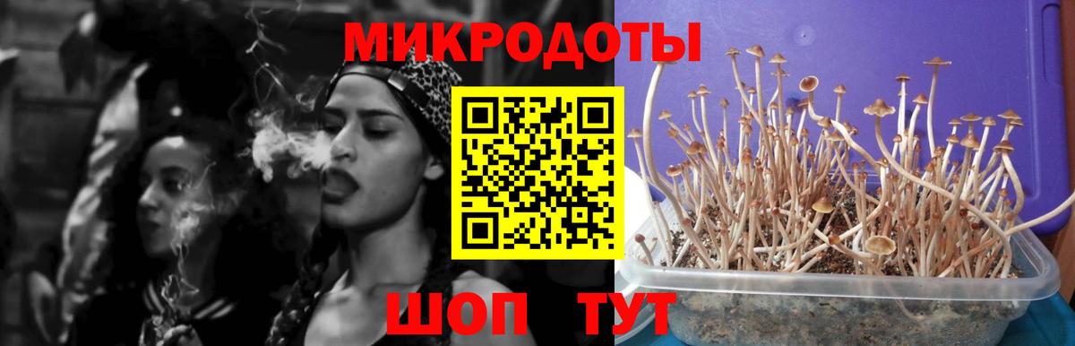 Псилоцибиновые грибы мухоморы  купить наркотики цена  Вичуга  Вход с VPN 